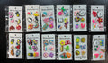 Pins (12 cards)