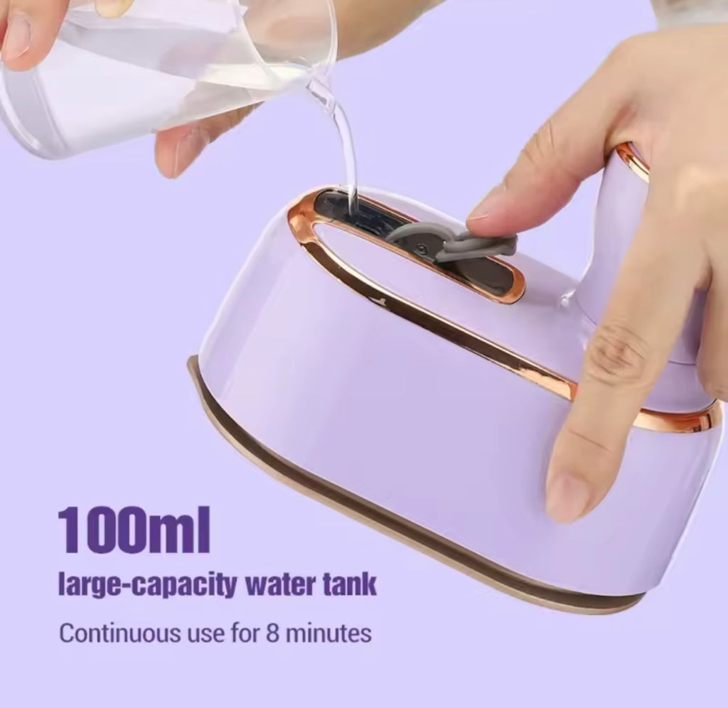 2 in 1 mini iron and steamer